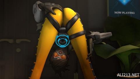 凭借其出色 凭借其出色